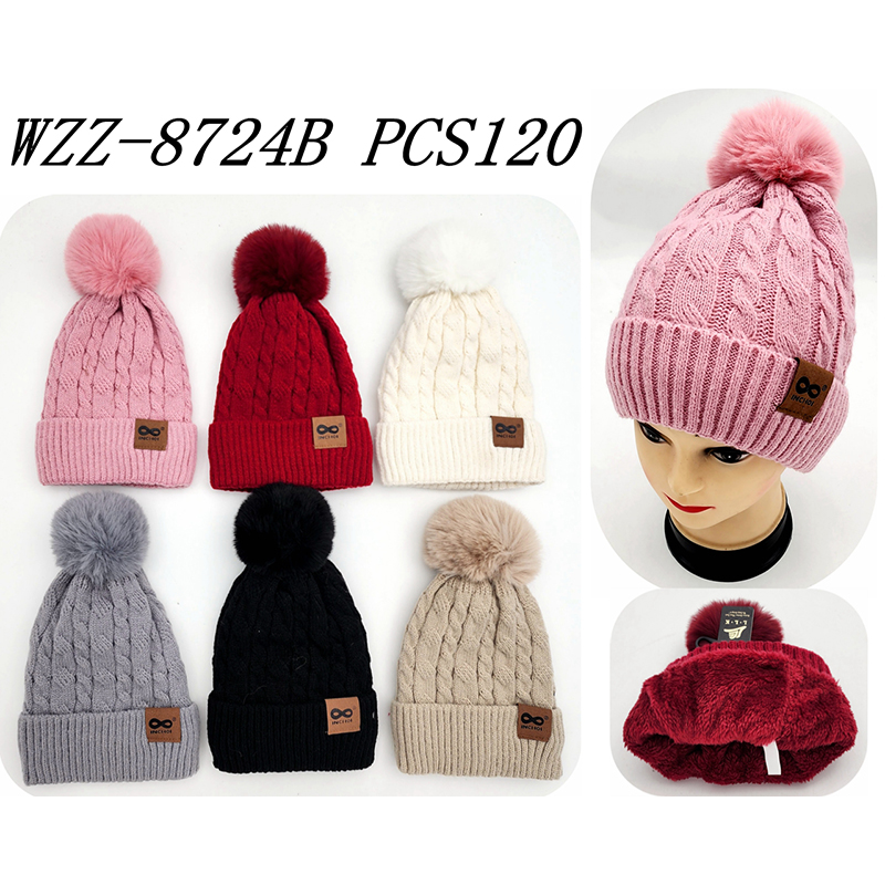 WZZ-8724B CS120